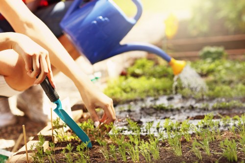 Garden waste sorting and recycling in Homerton