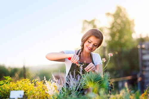 Patio cleaning and maintenance in Homerton outdoor space