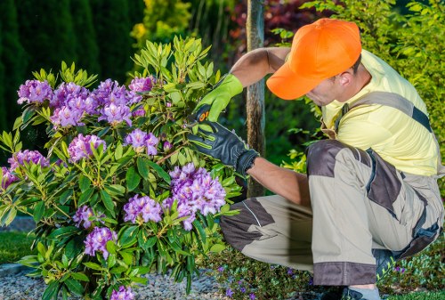 Gardening complaint process with a focus on fair handling