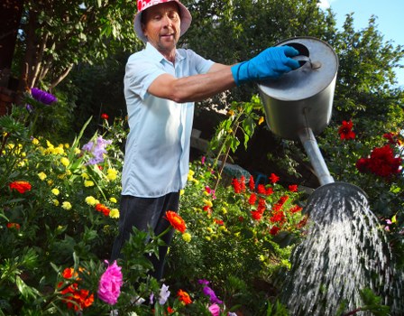 Local gardening services in Homerton improving a small outdoor space