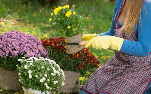 Reviewing a service issue for a Homerton gardening job