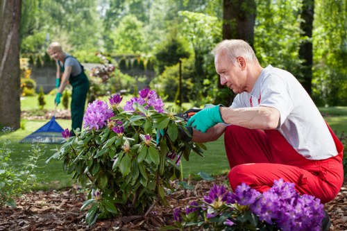 Seasonal garden care in Homerton with pruning, weeding, and lawn upkeep