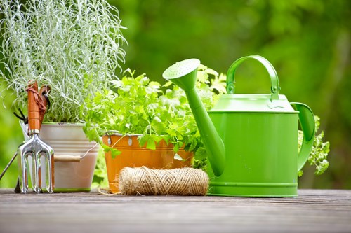 Feeding and watering a lawn in Homerton for stronger growth