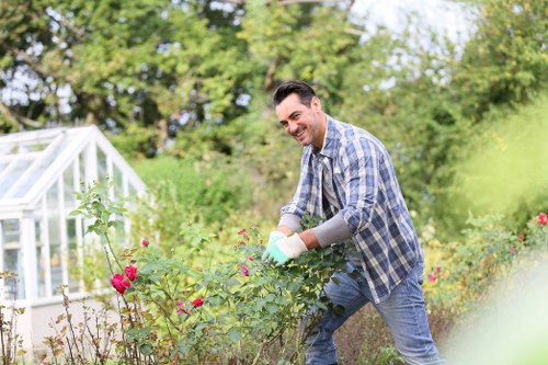 Professional garden maintenance in Homerton for lawns and borders
