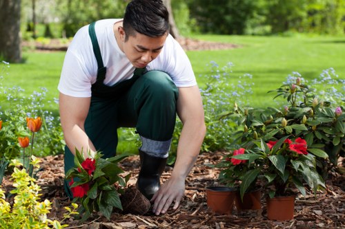 Supplier due diligence and audit process in gardening supply chains