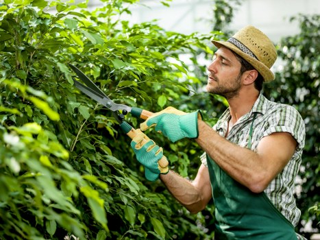 Image representing accessibility requests for Gardeners Homerton