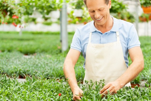 Professional garden maintenance work in Homerton on hedges and planting beds