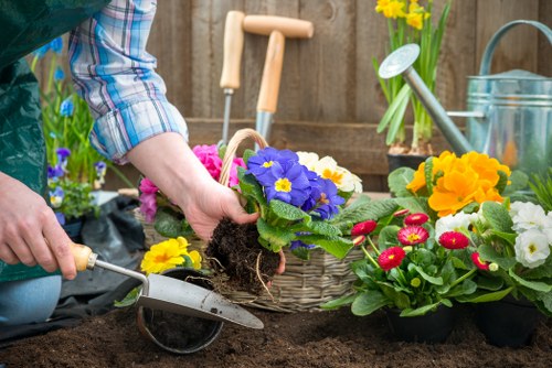 Sustainable garden service in Homerton