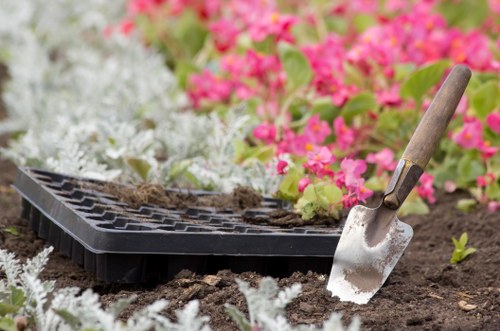 Documenting and assessing a gardening complaint carefully