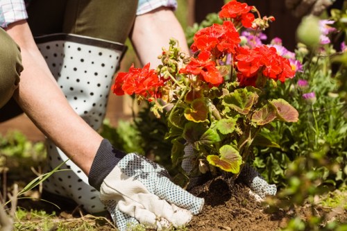 Seasonal garden care and lawn maintenance in Homerton