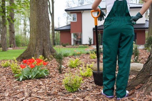 Seasonal garden care in Homerton with hedges and planting